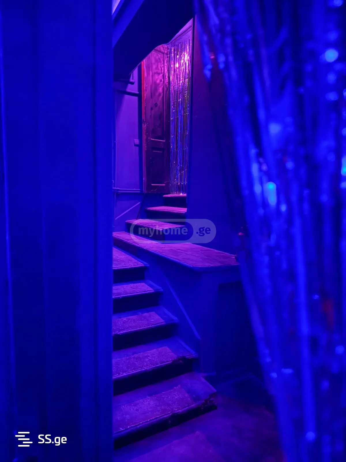 3 Room Private House Daily Rent. Saburtalo view 7