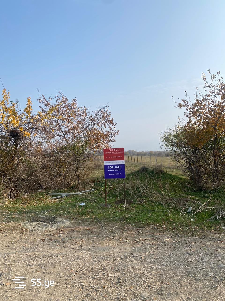 Land For Rent. Mtskheta view 1