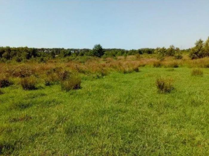 Land For Sale. Shroma
