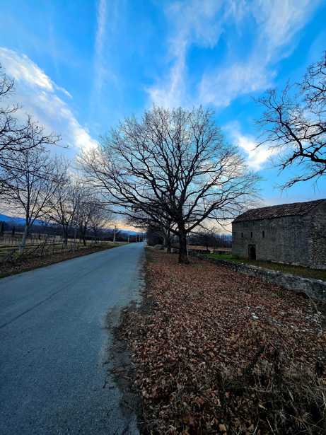 Land For Sale. Telavi