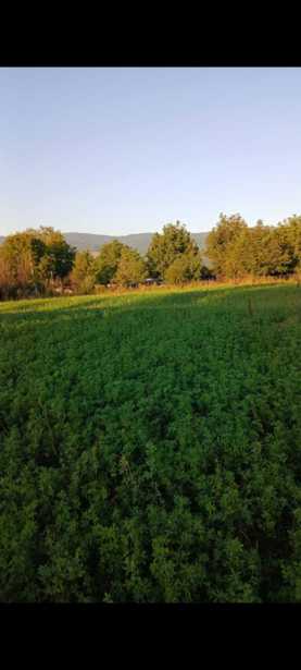 Land For Sale. Magraneti
