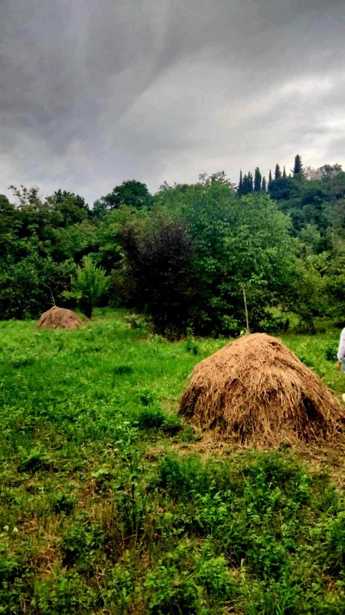 Land For Sale. Choporti