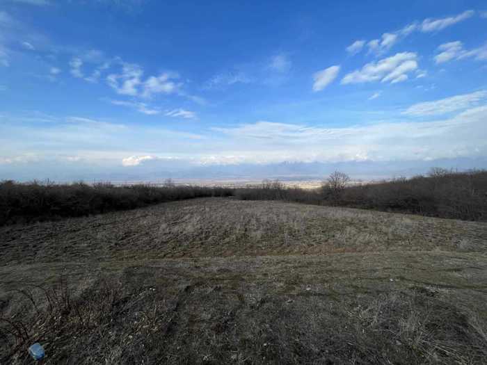 Land For Sale. Vardisubani