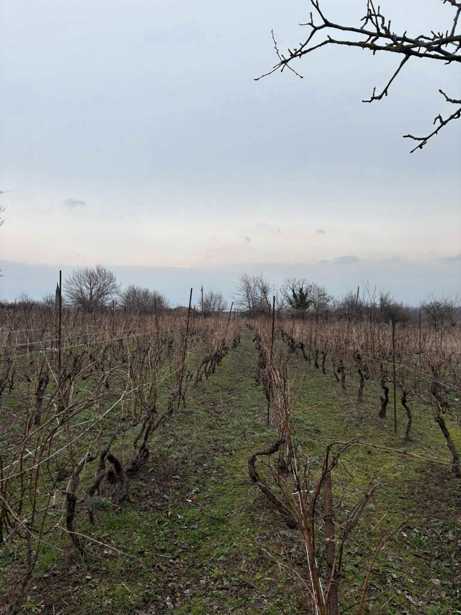 Land For Sale. Kisiskhevi