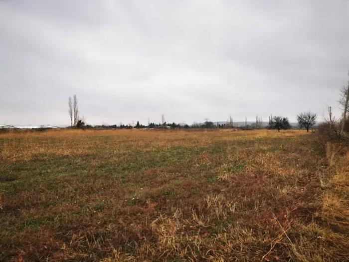 Land For Sale. Martkofi