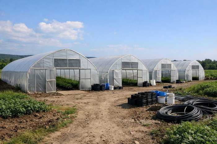 Land For Sale. Dzalisi