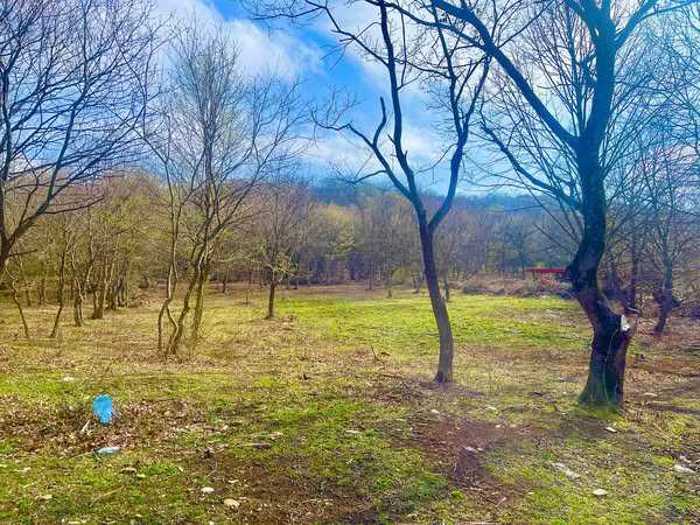 Land For Sale. Vardisubani