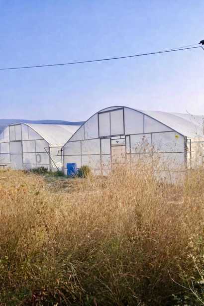 Land For Sale. Dzalisi