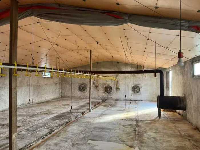 Land For Sale. Sagarejo