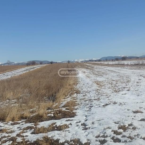 Land For Sale. Bazaleti