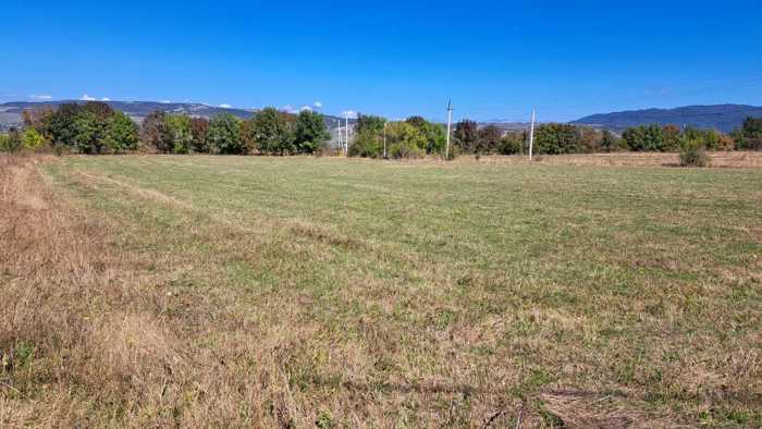Land For Sale. Trani