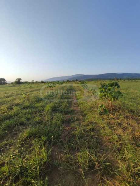 Land For Sale. Khoni