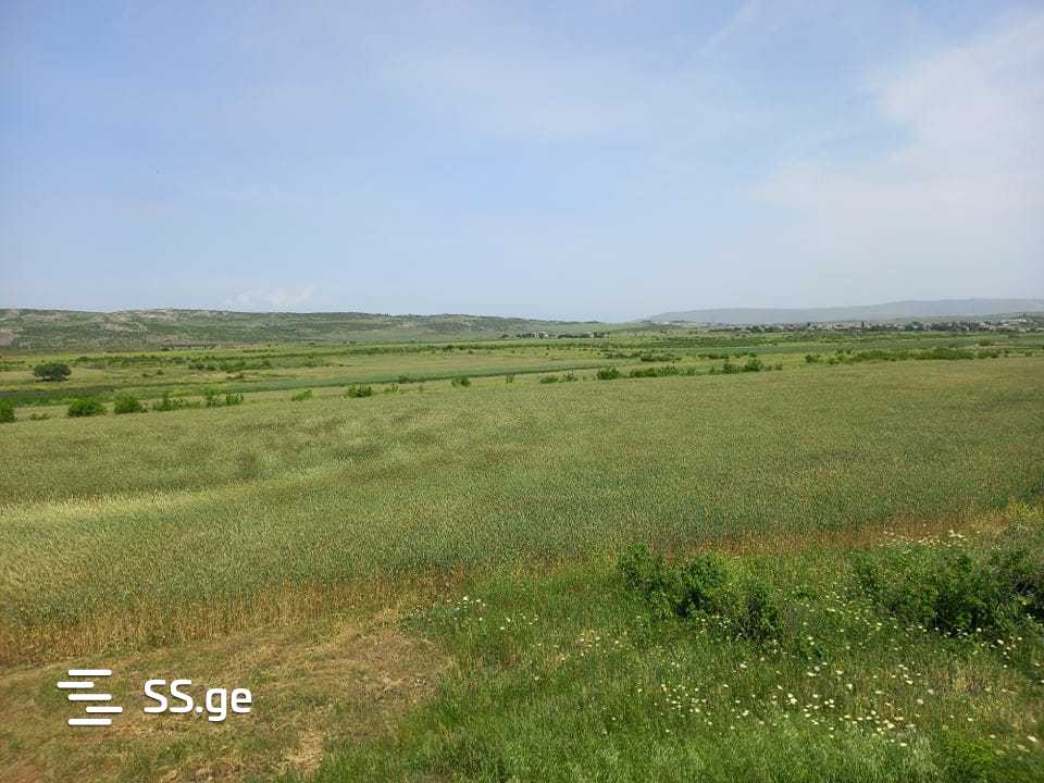 იყიდება მიწა მარნეულიში view 6