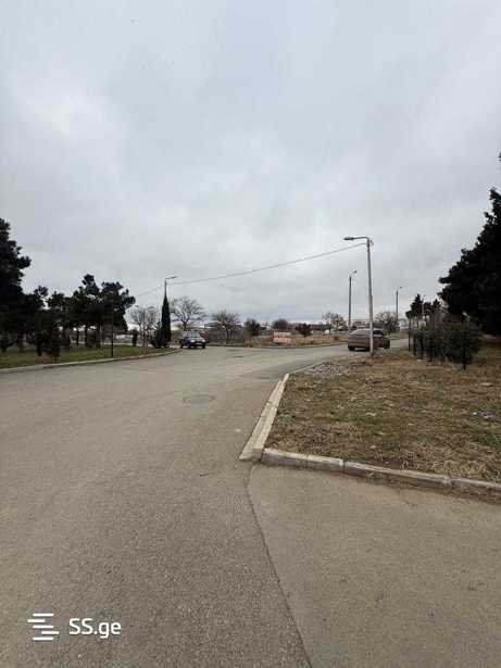 https://static.ss.ge/20260310/11_18356828-cd65-4ac2-a422-730e06668c6d_Thumb.jpg