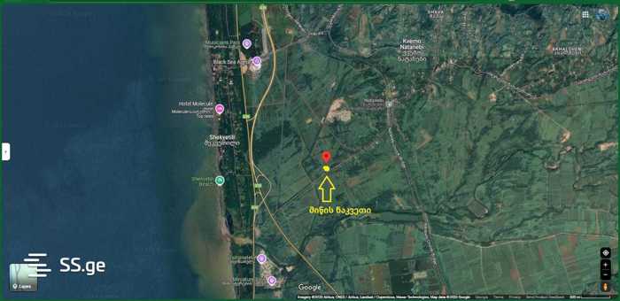 https://static.ss.ge/20260310/11_2bbf884f-85d0-4698-8973-5c2187b16b75_Thumb.jpg