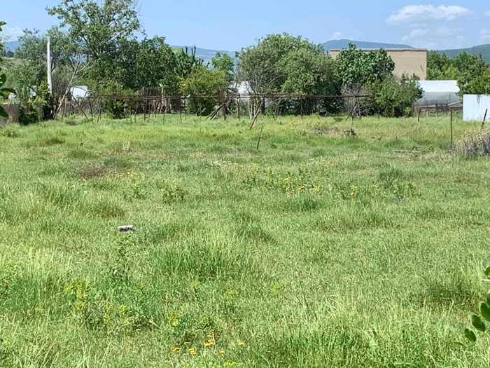 Land For Sale. Dzalisi