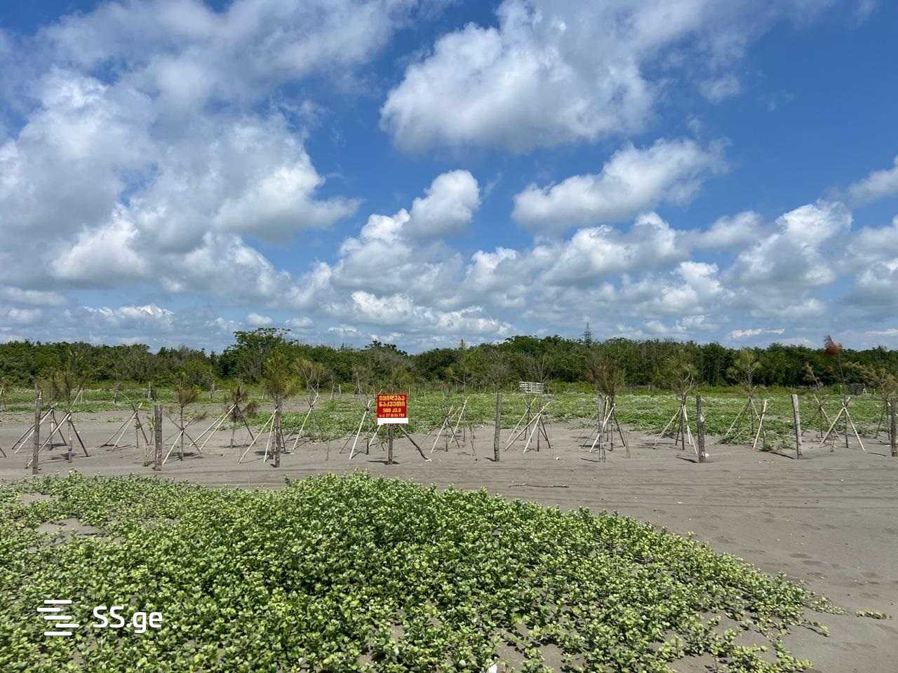 Land For Sale. Grigoleti view 9
