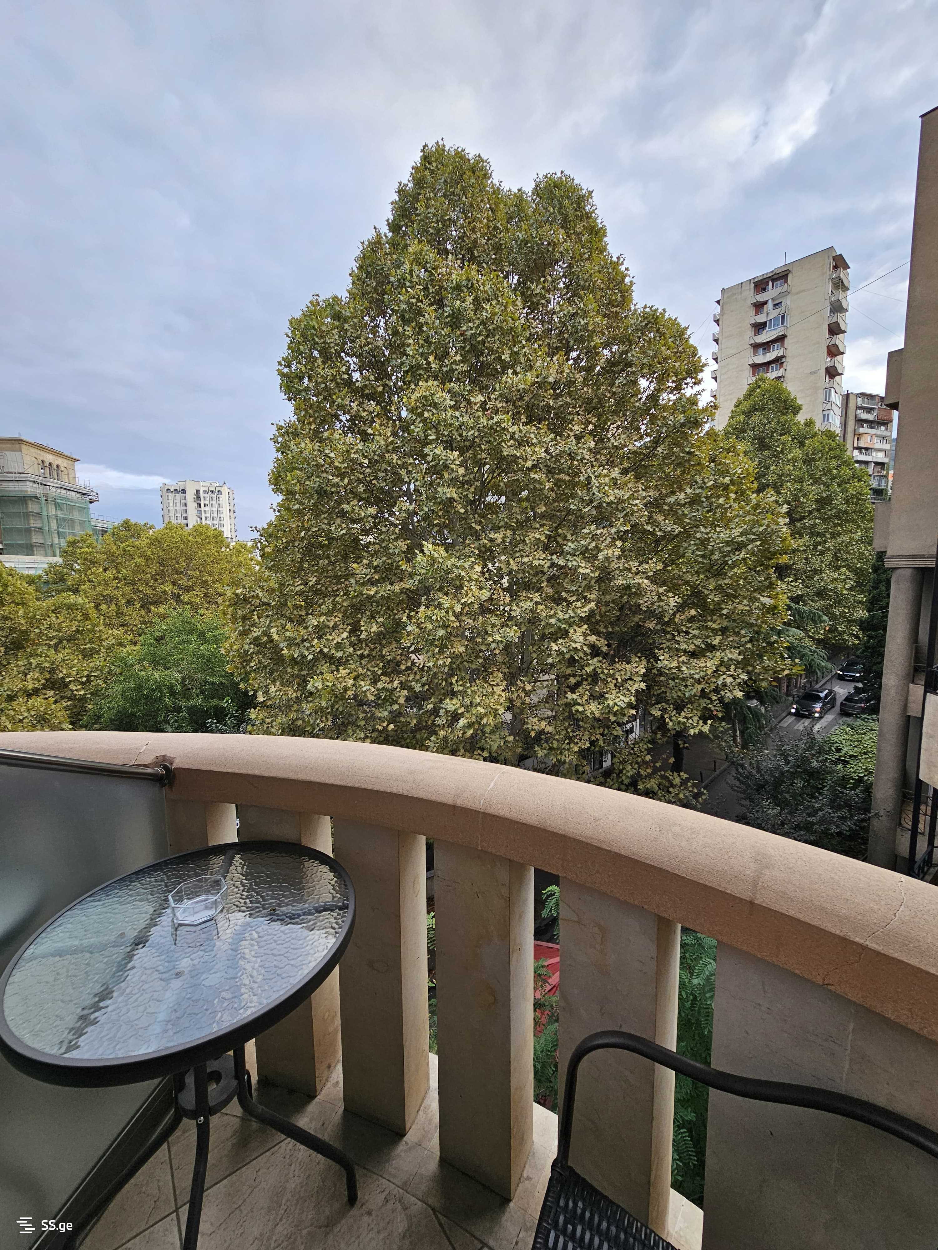 1 Room Flat Daily Rent. Vera view 8
