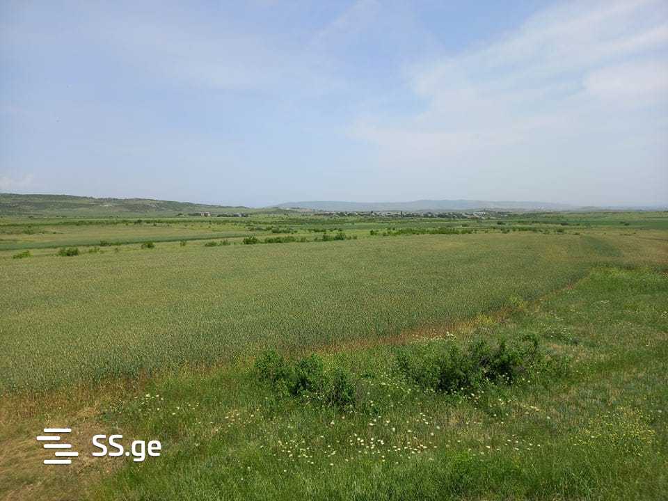 იყიდება მიწა მარნეულიში view 5