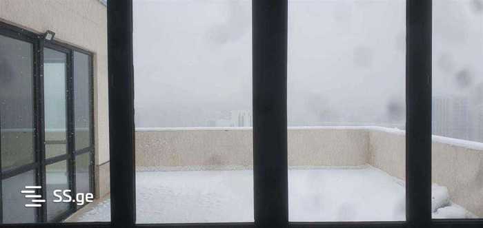 https://static.ss.ge/20260310/19_71302766-24ea-45c1-8b52-77be976745d2_Thumb.jpg