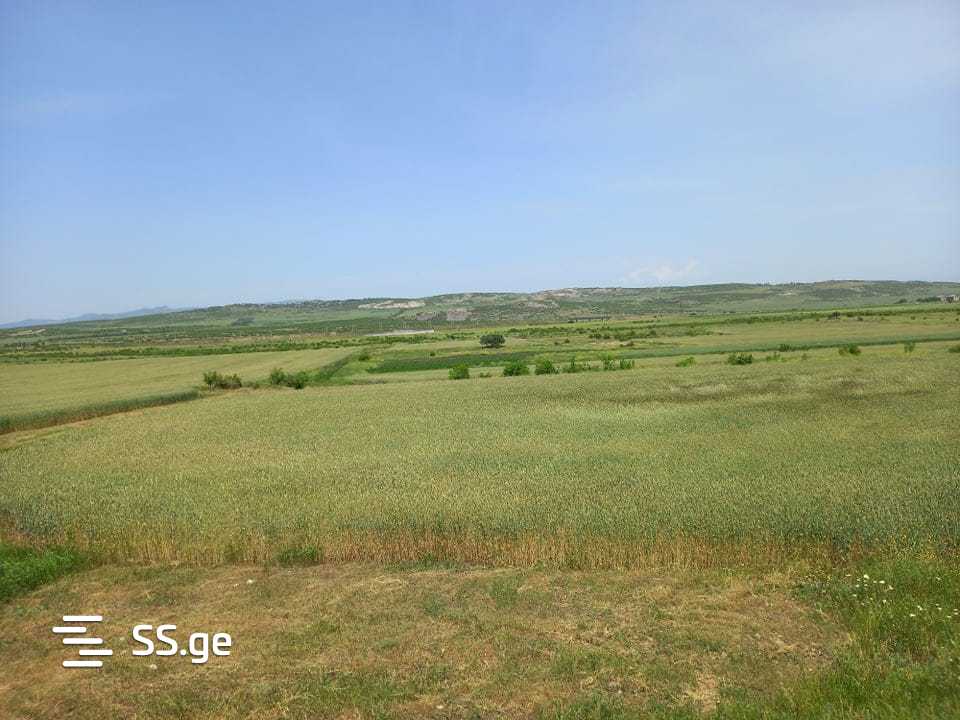 იყიდება მიწა მარნეულიში view 1