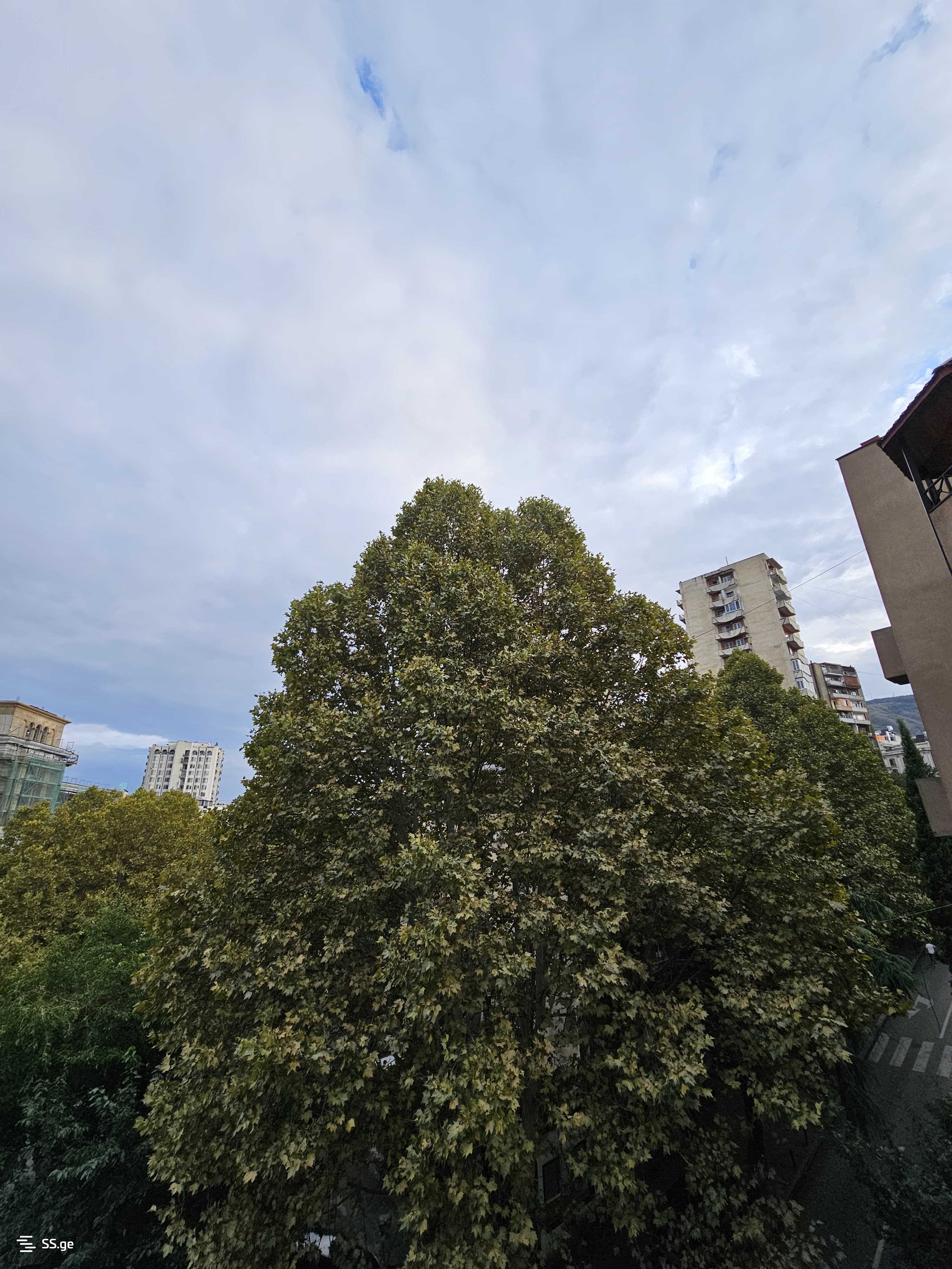 1 Room Flat Daily Rent. Vera view 10