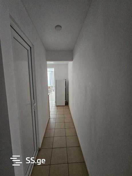 https://static.ss.ge/20260310/5_df2530c1-2f6b-4e83-8cce-2cf7070ea7c5_Thumb.jpg