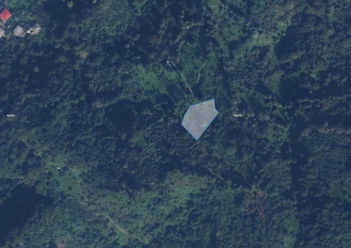 Land For Sale. Gonio