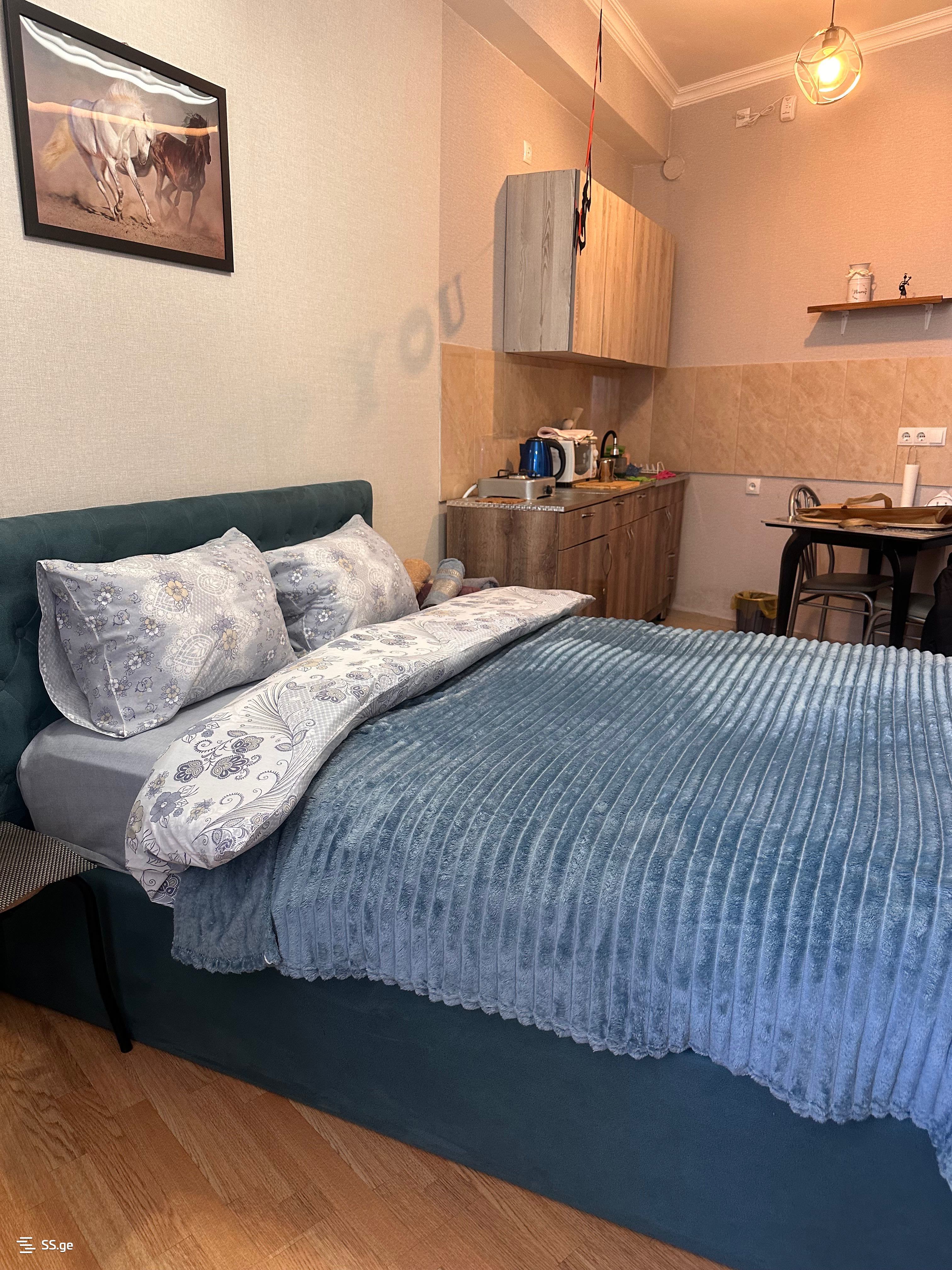 1 Room Flat Daily Rent. Nadzaladevi, 1 of 12