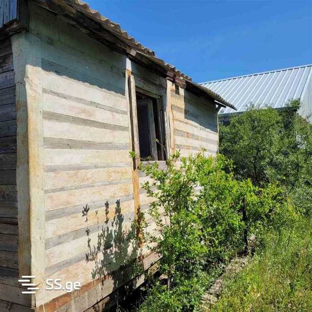https://static.ss.ge/20260310/8_78033761-a255-4421-8b1a-f45dff9d423d_Thumb.jpg