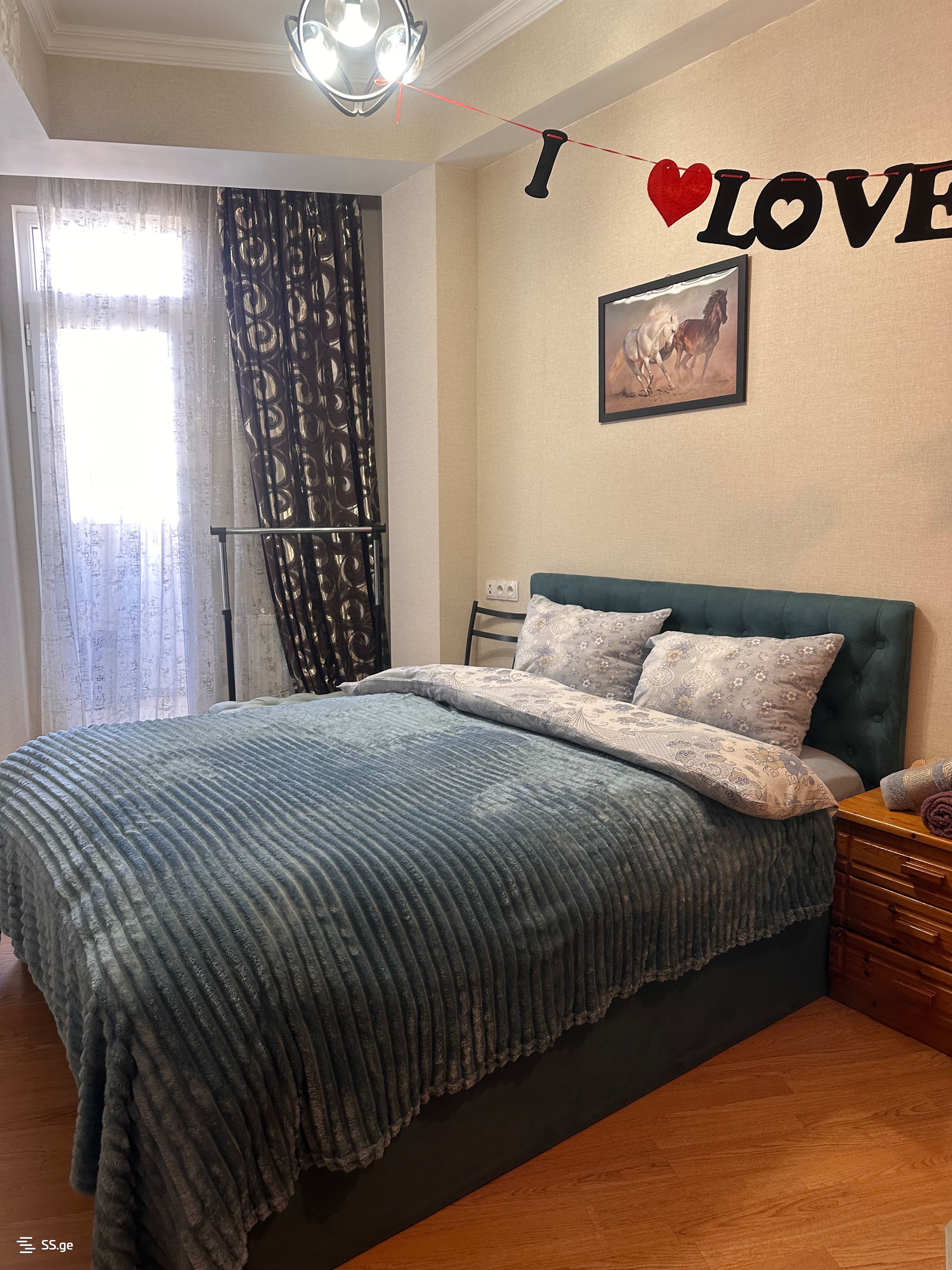 1 Room Flat Daily Rent. Nadzaladevi, 3 of 4