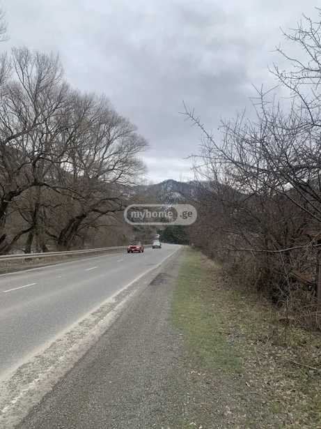 https://static.ss.ge/20260311/10_907584aa-7216-4f0d-a108-406a82cb35bb_Thumb.jpg