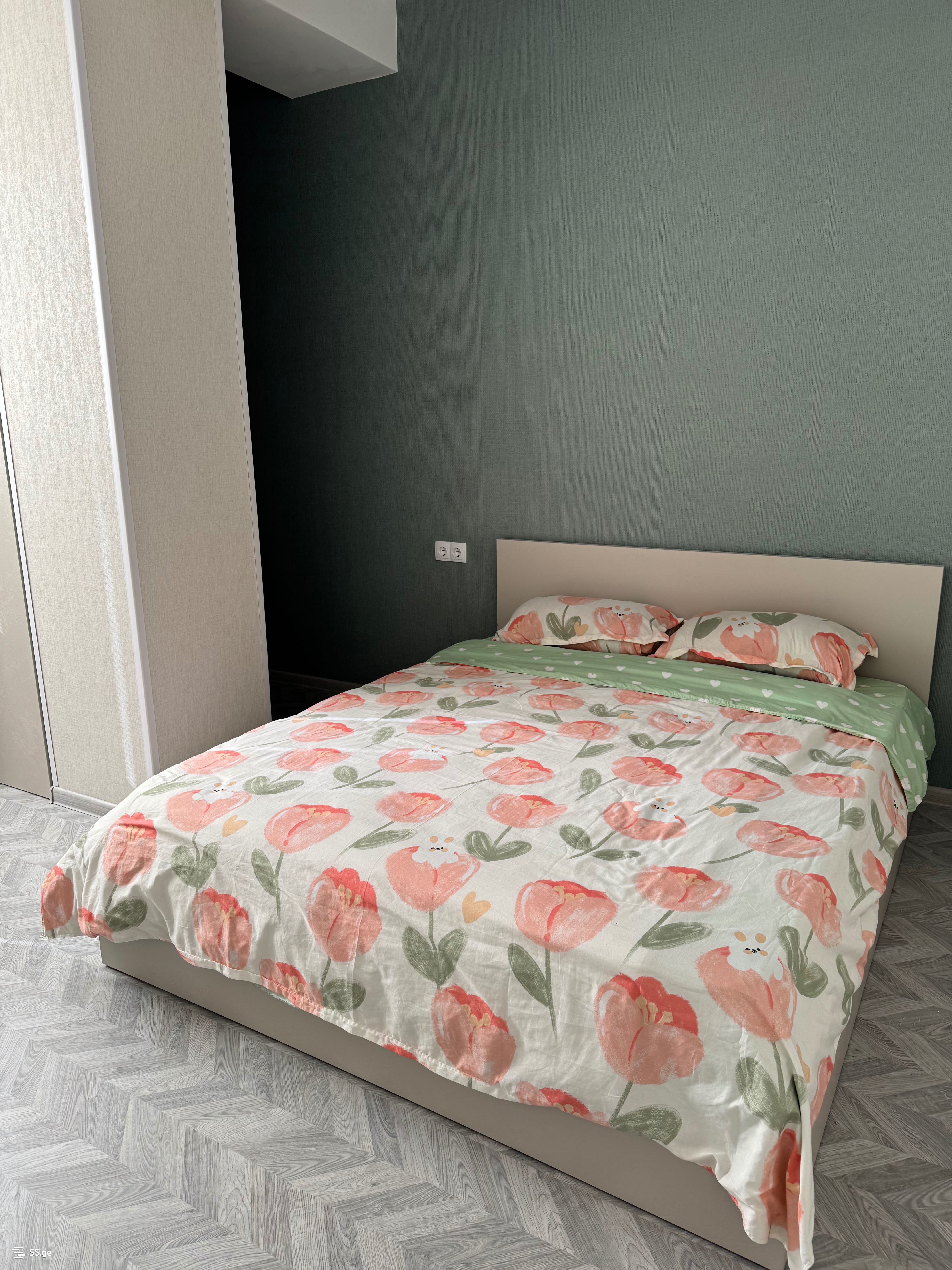 2 Room Flat Daily Rent. Rustavi view 12