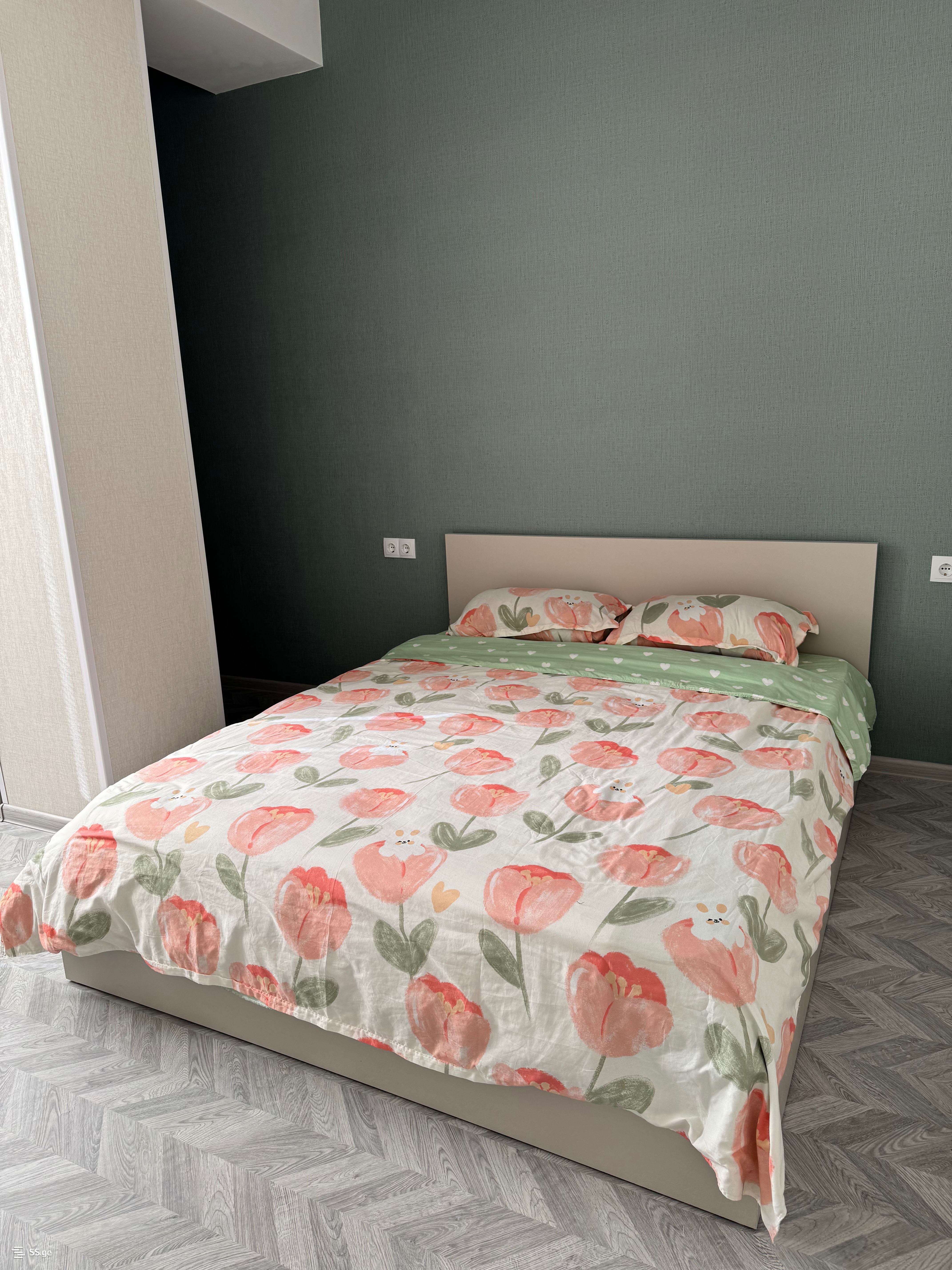 2 Room Flat Daily Rent. Rustavi view 14