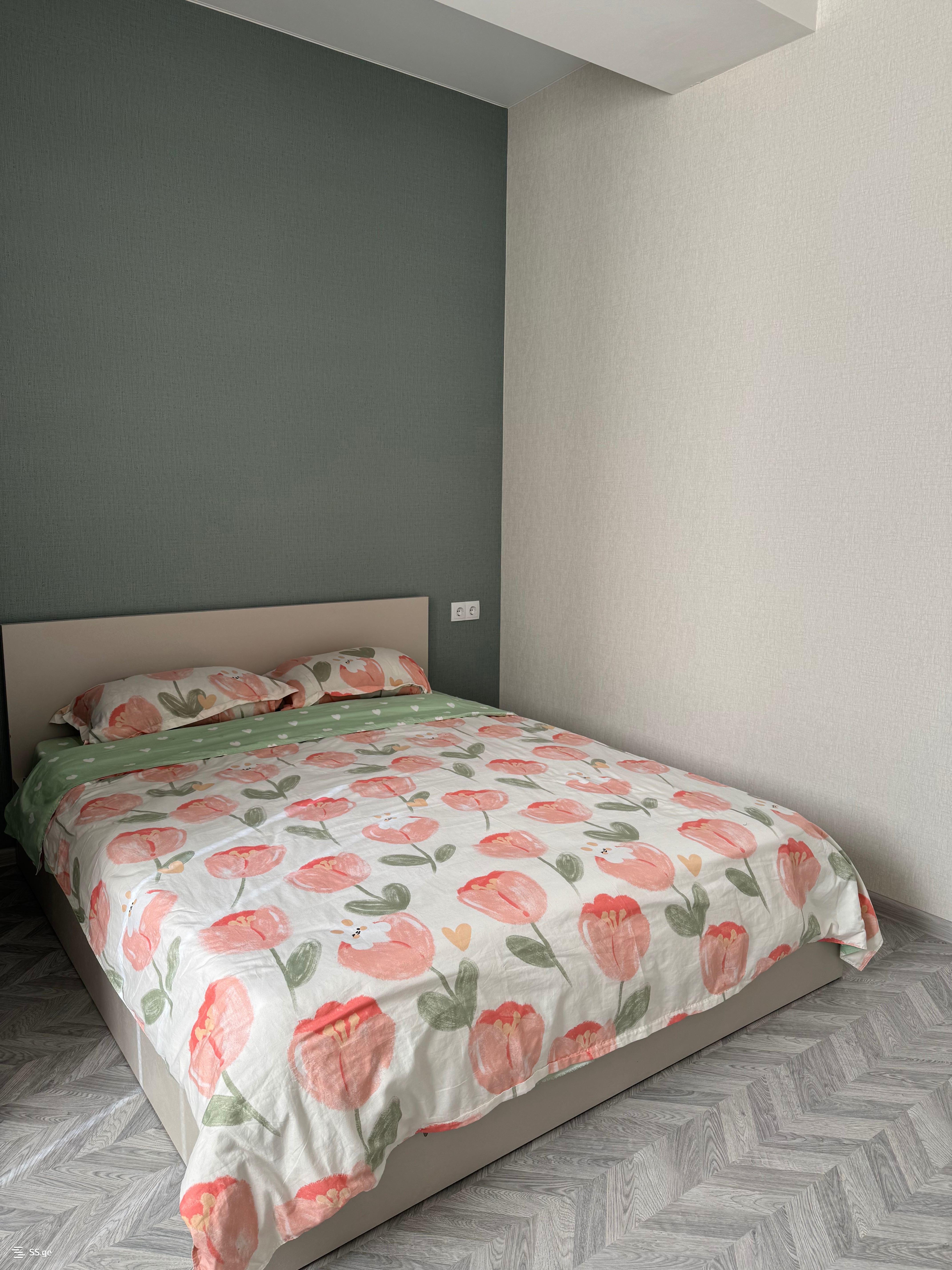 2 Room Flat Daily Rent. Rustavi view 13