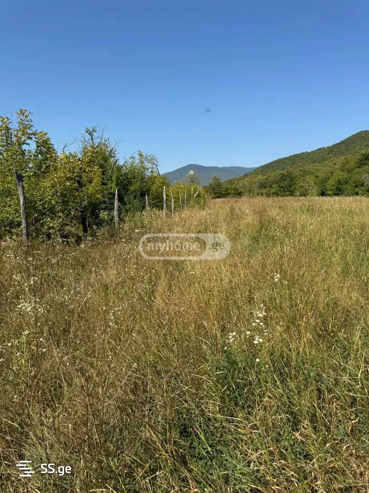 Land For Sale. Bulachauri view 4