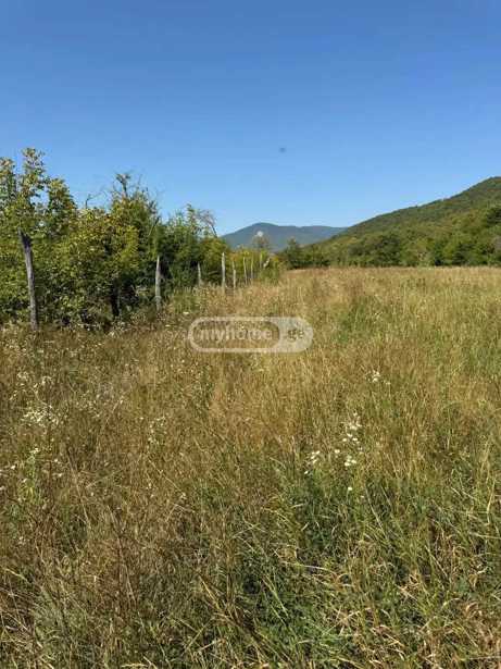 https://static.ss.ge/20260311/13_ac7f17e0-9495-4e52-9376-4a73237653d9_Thumb.jpg