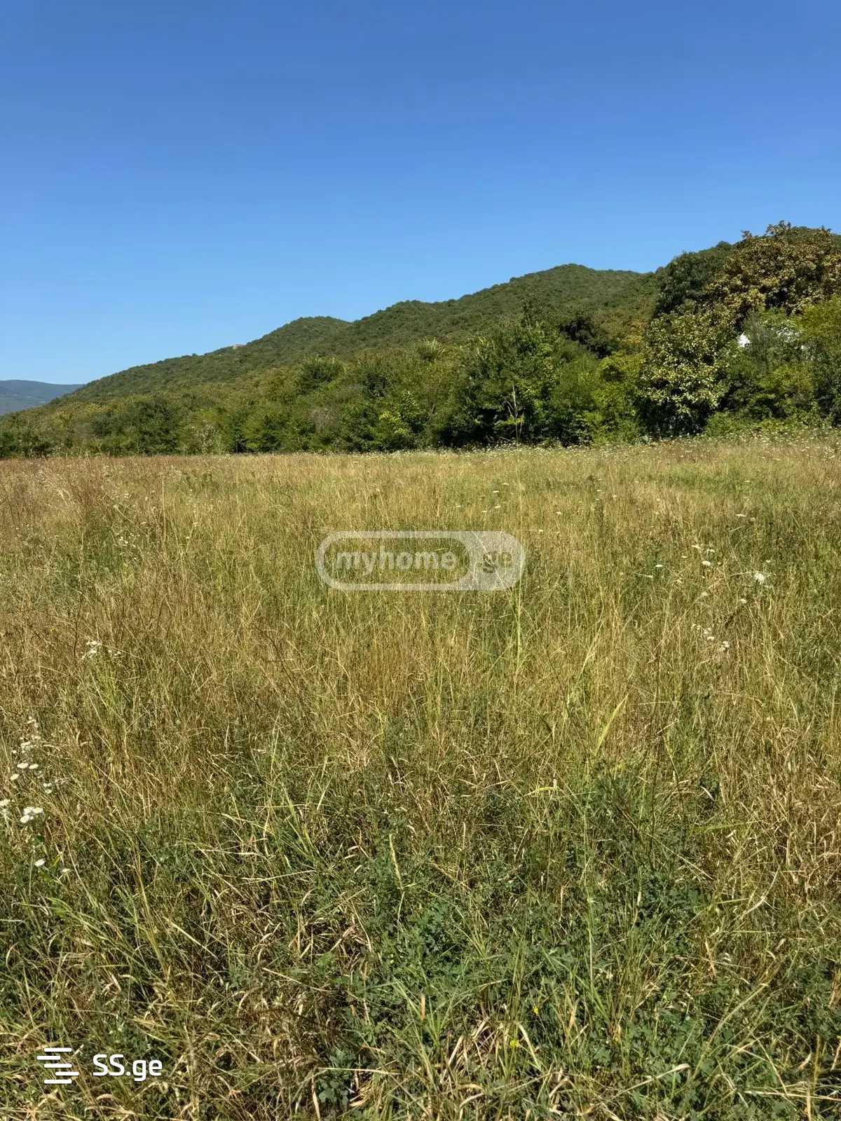 Land For Sale. Bulachauri view 1