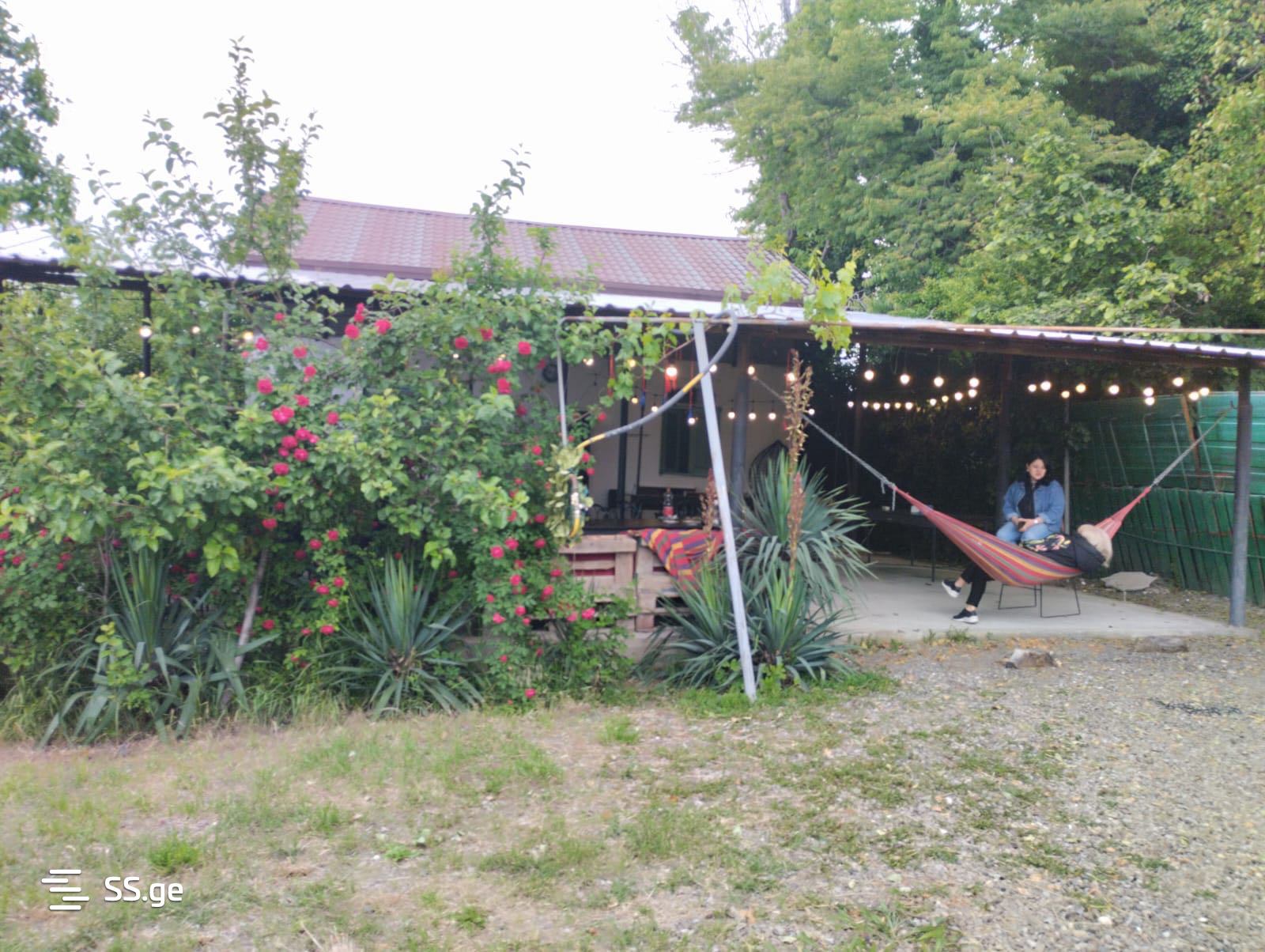 3 Room Summer Cottage Daily Rent. Mesame Masivi view 13