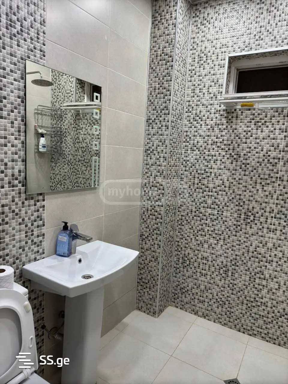 6 Room Summer Cottage Daily Rent. Saguramo view 7