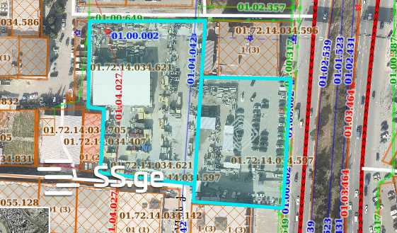 Land For Rent. Didi Digomi view 3
