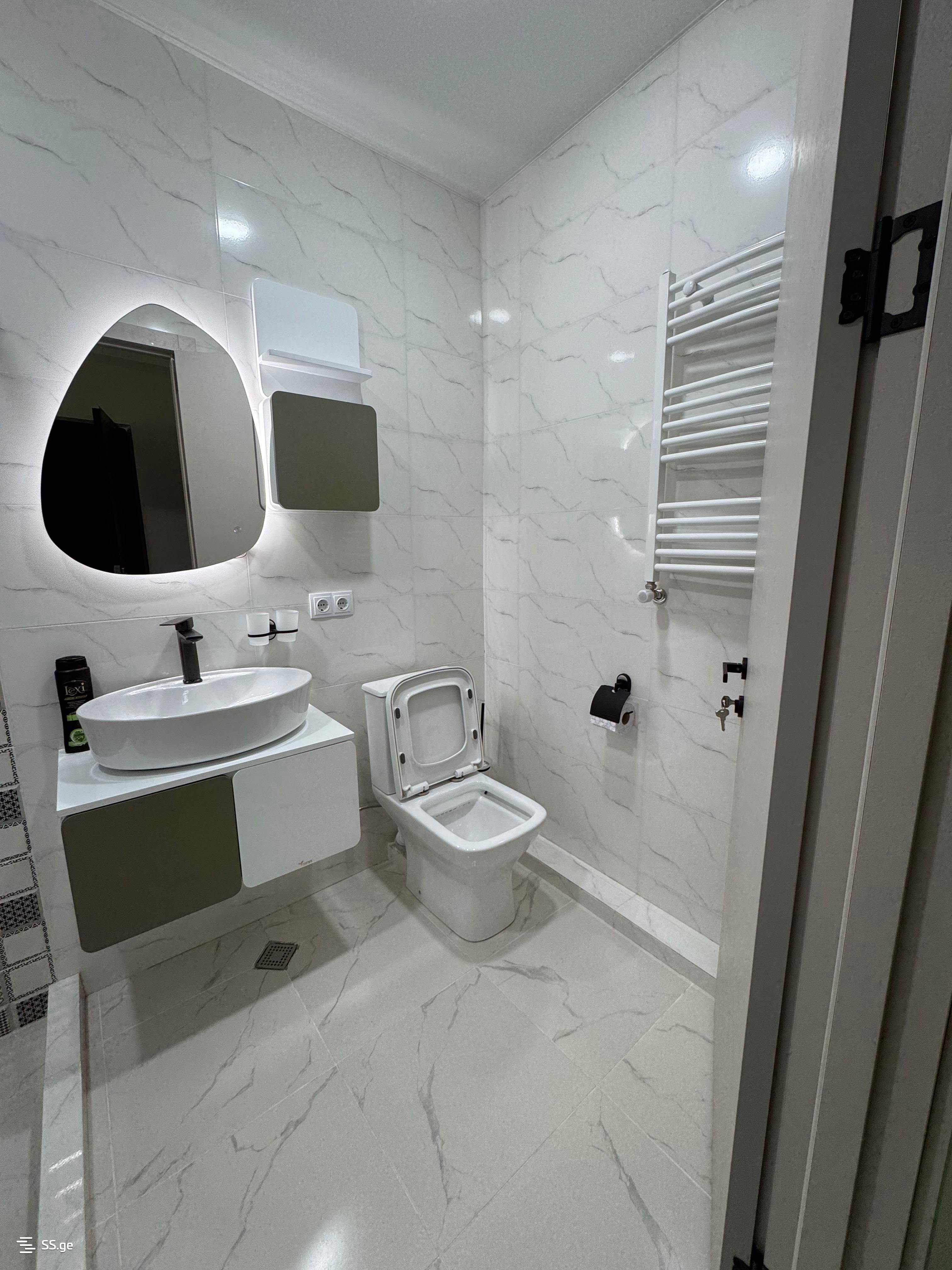 2 Room Flat Daily Rent. Rustavi view 6