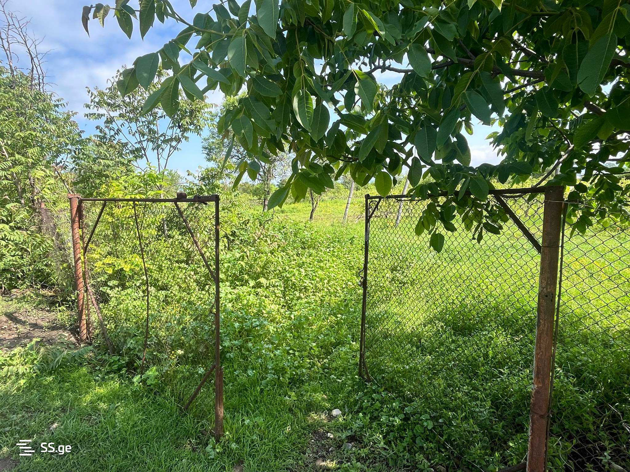 Land For Sale. Signagi view 5