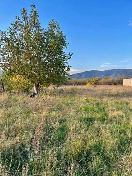 Land For Sale. Jighaura