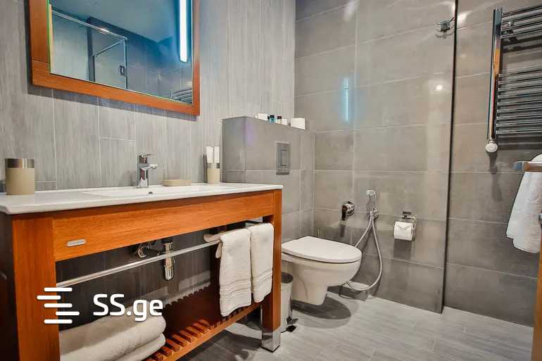 55 Room Hotel For Rent. Saburtalo view 6