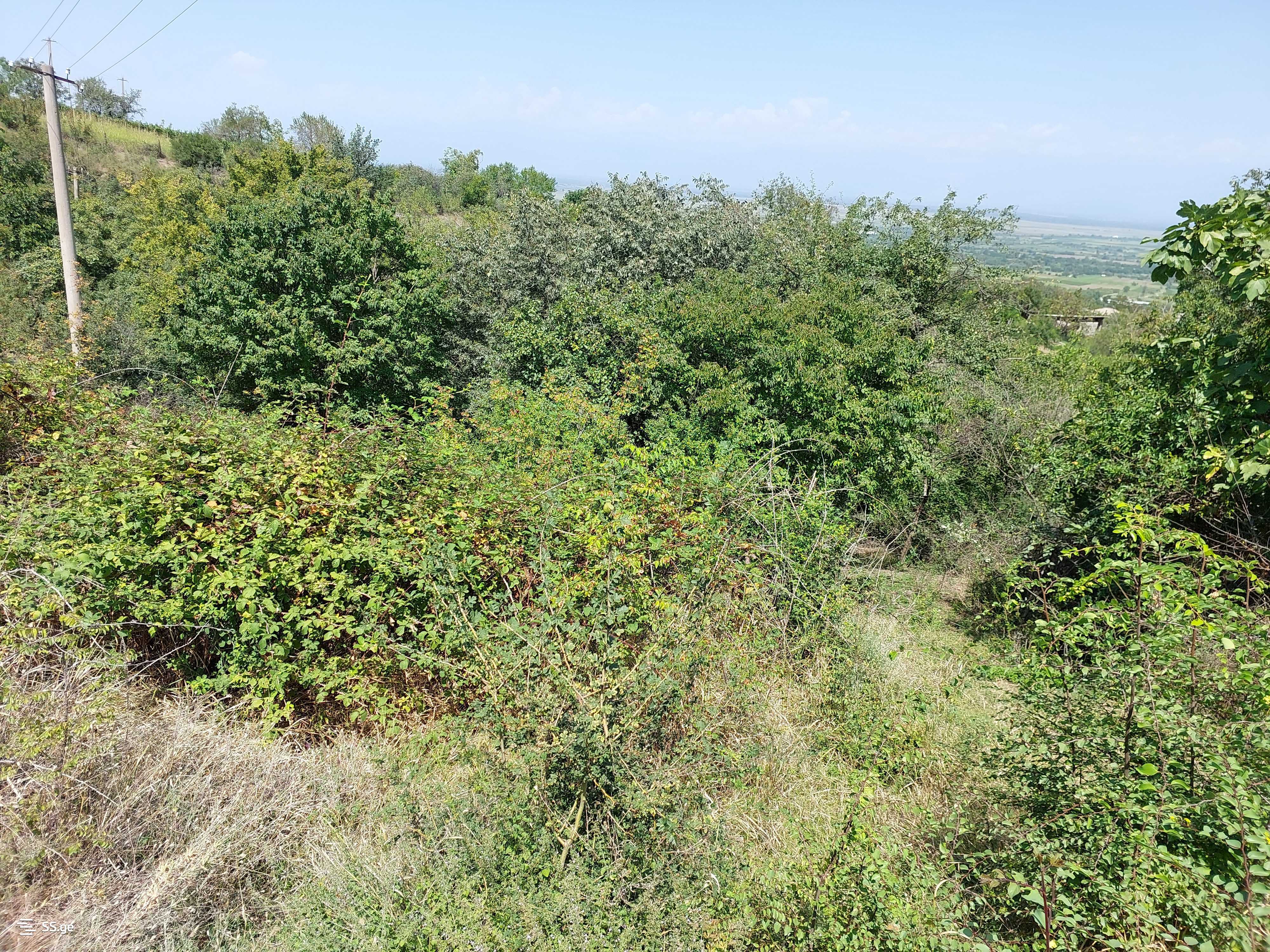 Land For Sale. Signagi view 1