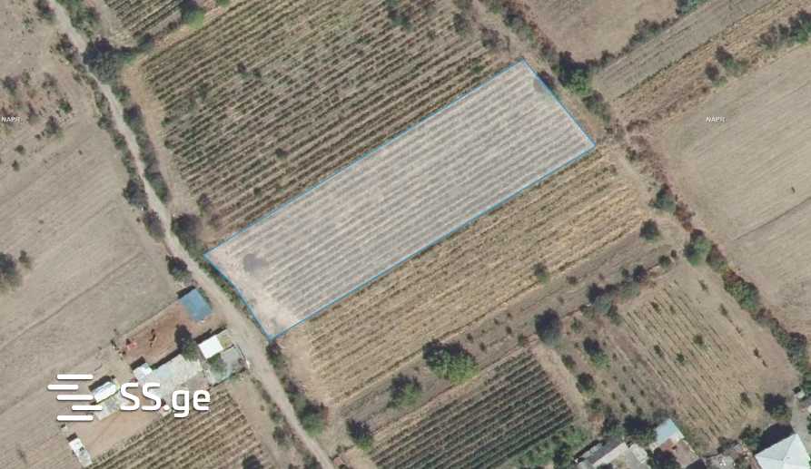 Land For Sale. Signagi view 6