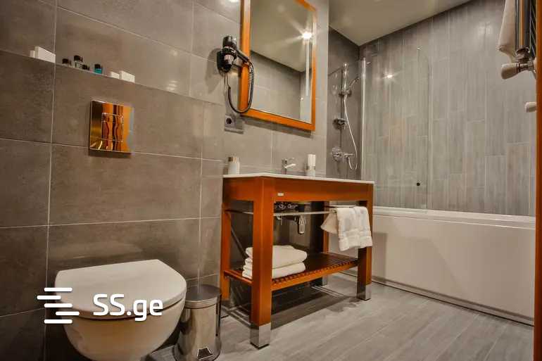 55 Room Hotel For Rent. Saburtalo view 7