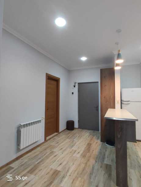 https://static.ss.ge/20260313/12_22a90128-d427-4848-ab0f-02a9e1403111_Thumb.jpg