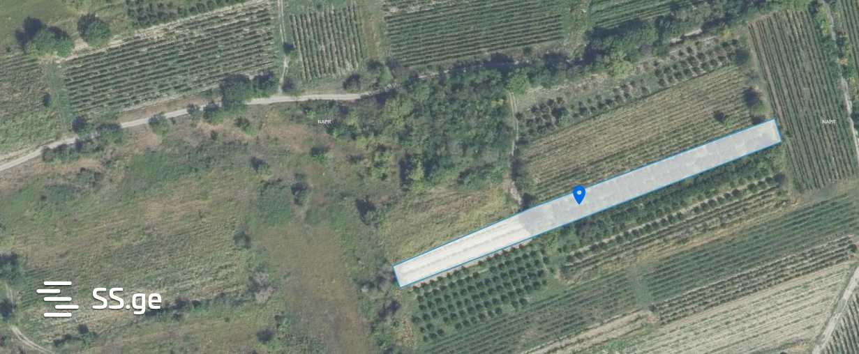 Продажа Земля / участок в Gurjaanshi view 13